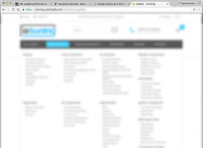 A New Website & Parent Company name are on their way