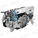 PCV Hose - Left valve cover to TMIC